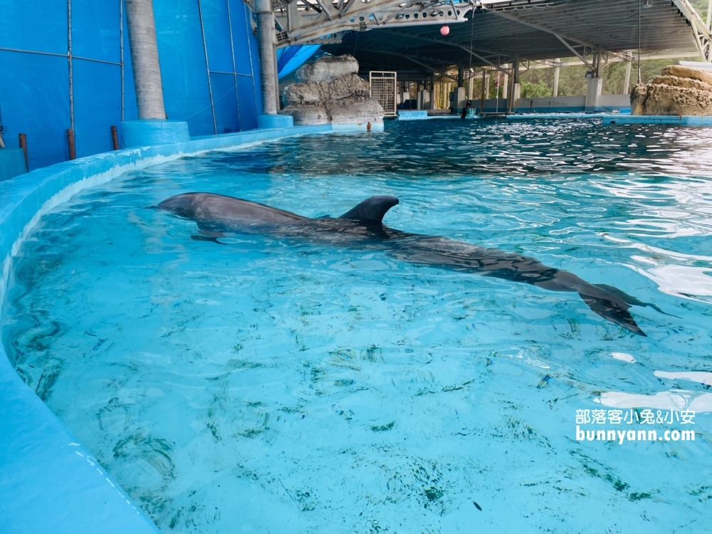 花蓮遠雄海洋公園必玩遊樂園設施一次盤點給你攻略！