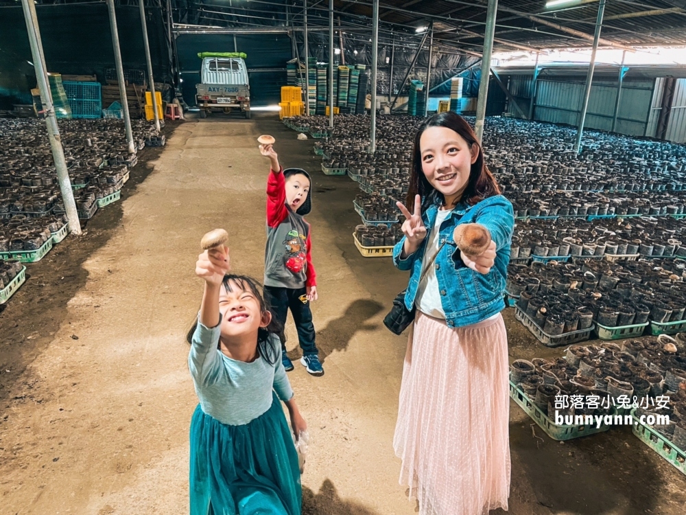 阿亮香菇園