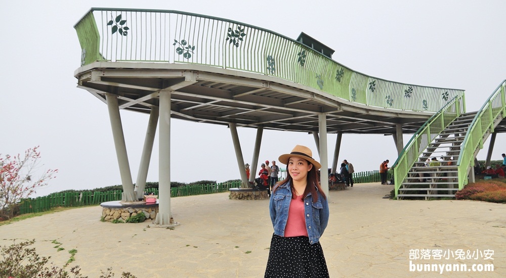 雲林山丘秘境【雲嶺之丘】5分鐘漫步翠綠茶園，無死角視野超美