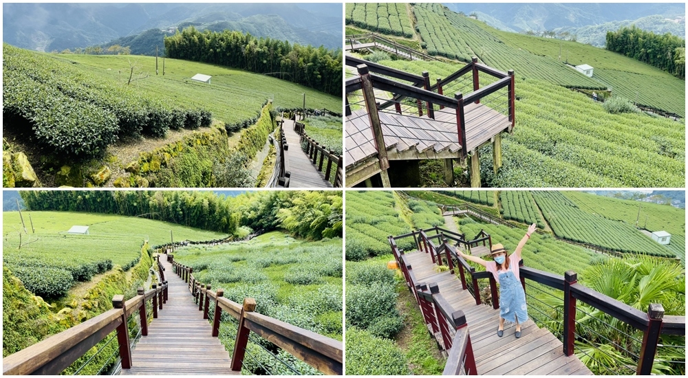 石棹步道群霞之道，15分鐘輕鬆漫步茶田，眺望雲霧飄渺山嵐